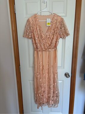 C. Cline Embroidered leaves sheer layer peachy dress